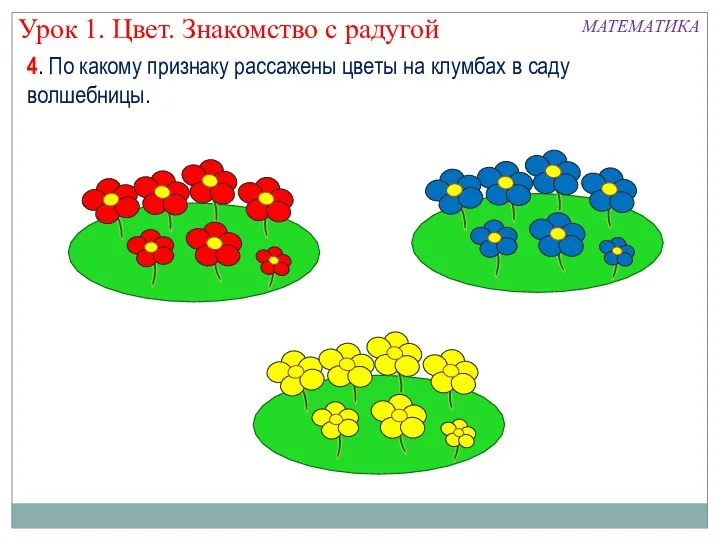 4. По какому признаку рассажены цветы на клумбах в саду