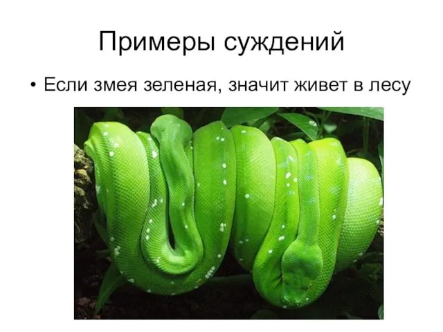 Примеры суждений Если змея зеленая, значит живет в лесу