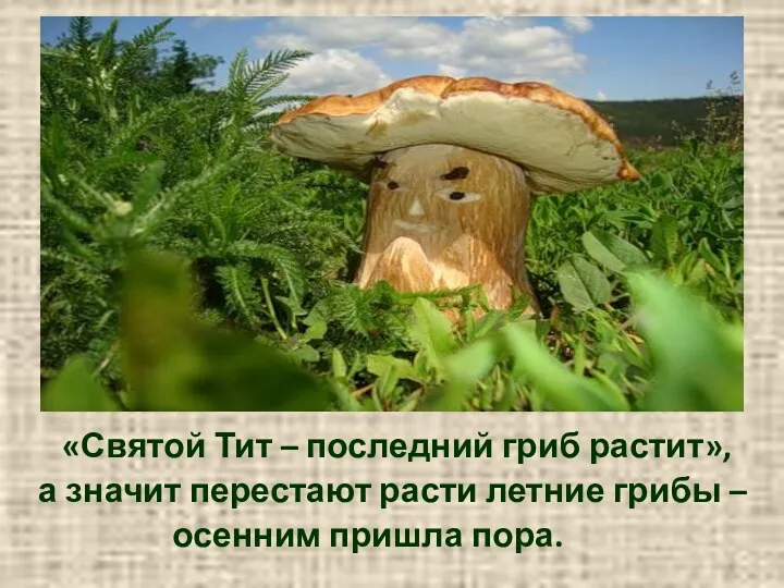 «Святой Тит – последний гриб растит», а значит перестают расти летние грибы – осенним пришла пора.