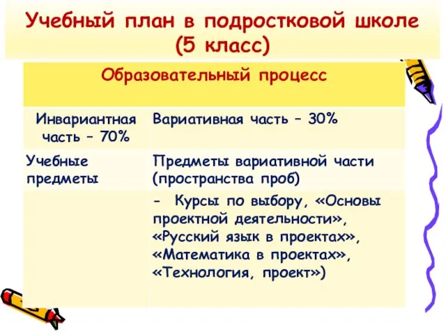 Учебный план в подростковой школе (5 класс)