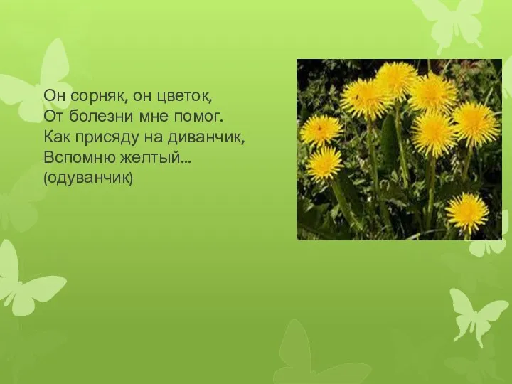 Он сорняк, он цветок, От болезни мне помог. Как присяду на диванчик, Вспомню желтый... (одуванчик)