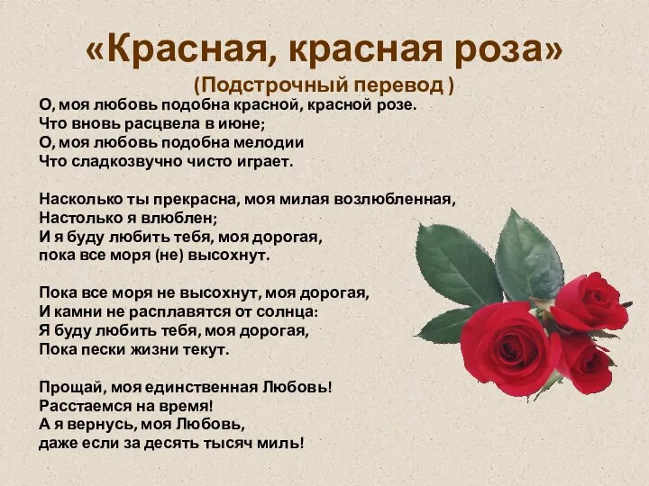 «Красная, красная роза» (Подстрочный перевод ) О, моя любовь подобна