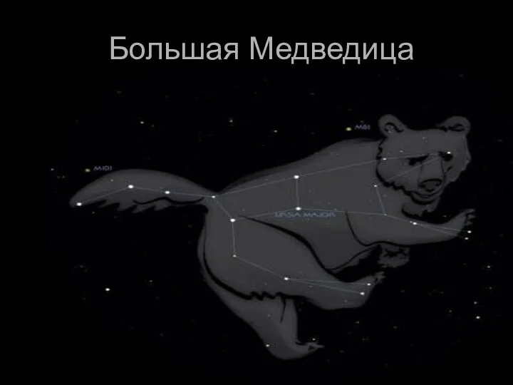 Большая Медведица