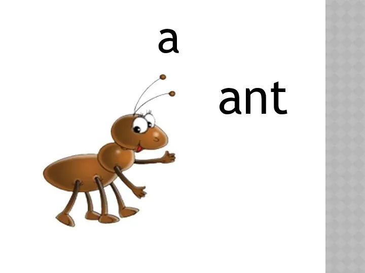 a ant