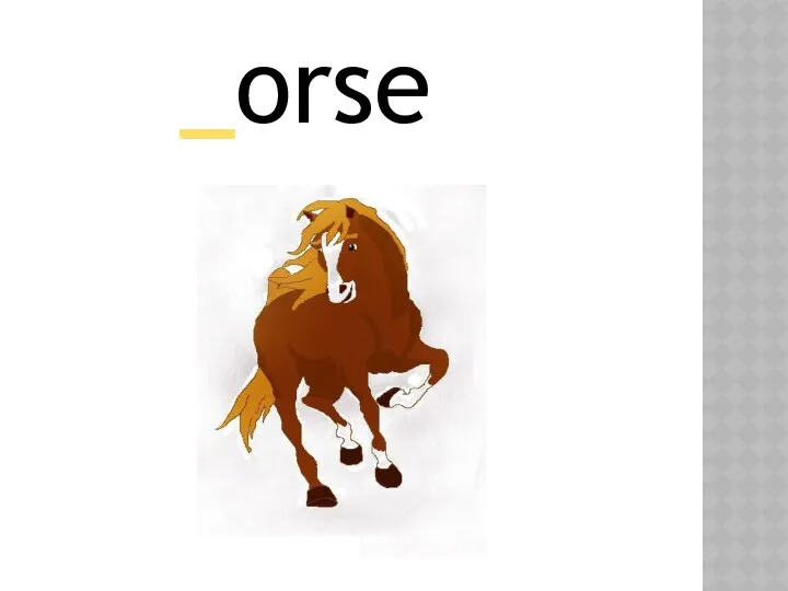 _orse