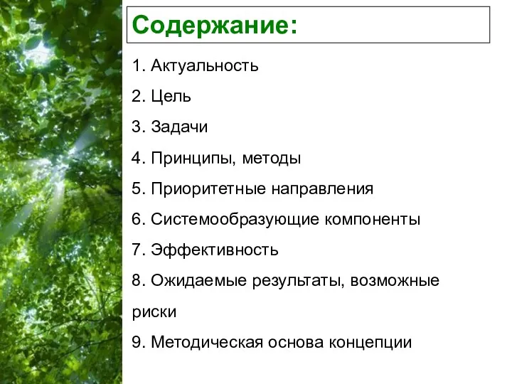 Содержание: 1. Актуальность 2. Цель 3. Задачи 4. Принципы, методы