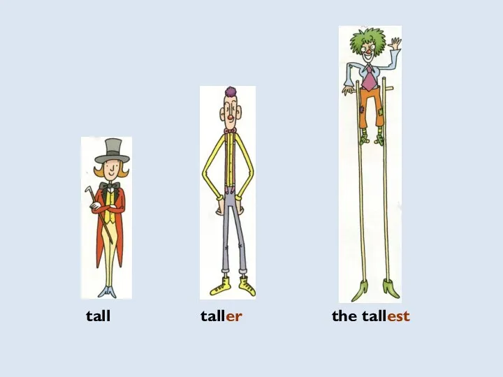 tall taller the tallest