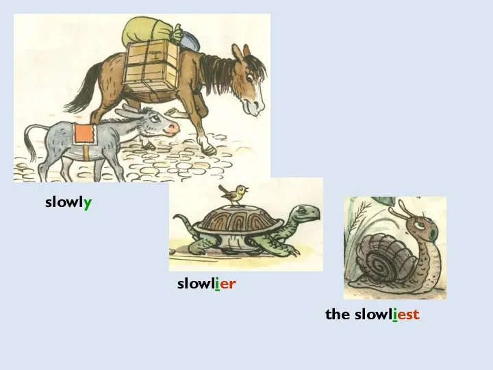 slowly slowlier the slowliest