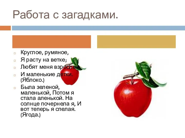 Работа с загадками. Круглое, румяное, Я расту на ветке; Любят