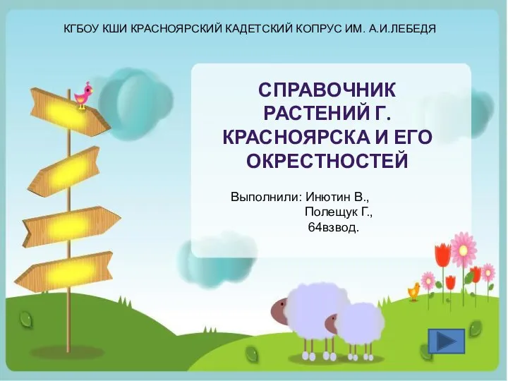 Информационная база Многообразие растений г.Красноярска и его окресностей презентация 6 класс