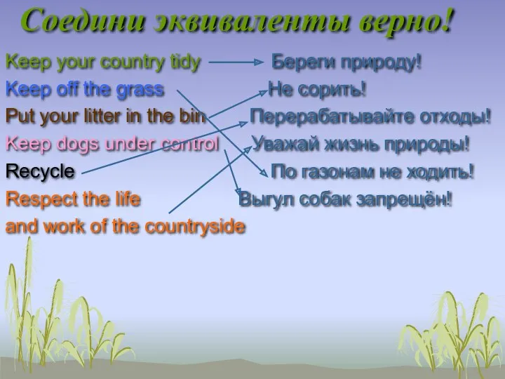 Соедини эквиваленты верно! Keep your country tidy Береги природу! Keep off the grass