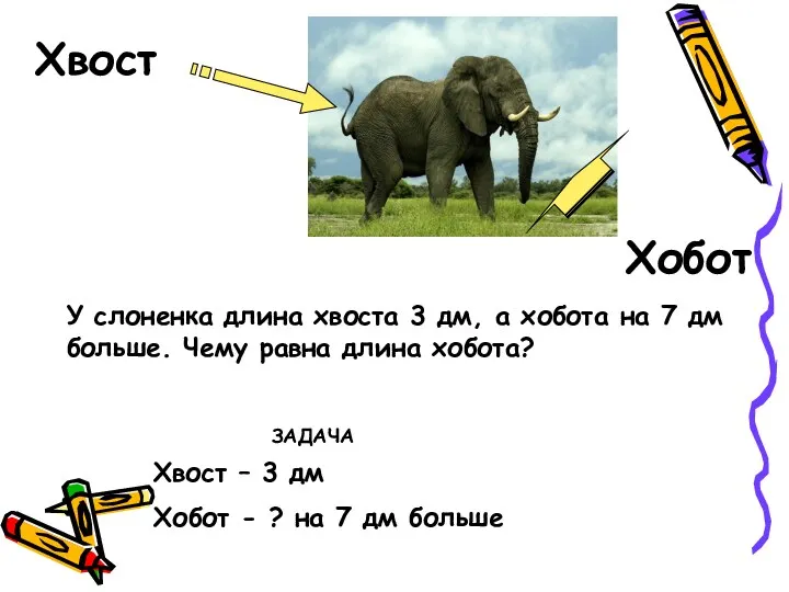 Хвост Хобот Хвост – 3 дм Хобот - ? на 7 дм больше