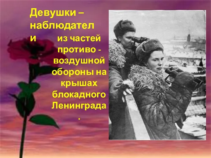 из частей противо - воздушной обороны на крышах блокадного Ленинграда. Девушки – наблюдатели