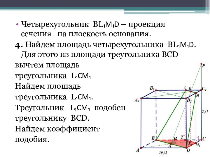 Четырехугольник BL₁M₁D – проекция сечения на плоскость основания. 4. Найдем