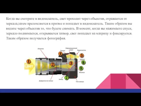 Когда вы смотрите в видоискатель, свет проходит через объектив, отражается