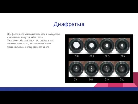 Диафрагма Диафрагма это многолепестковая перегородка находящаяся внутри объектива. Она может