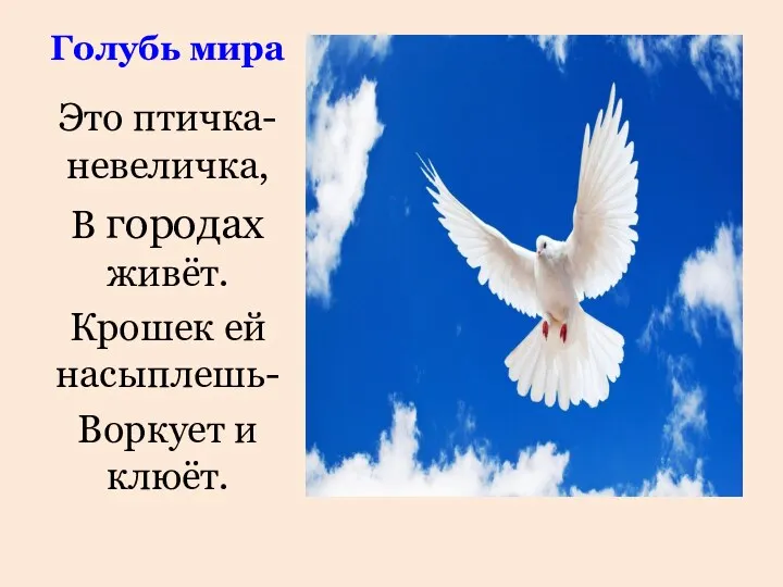 Голубь мира Это птичка-невеличка, В городах живёт. Крошек ей насыплешь- Воркует и клюёт.