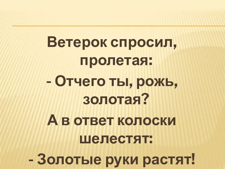 Ветерок спросил, пролетая: - Отчего ты, рожь, золотая? А в