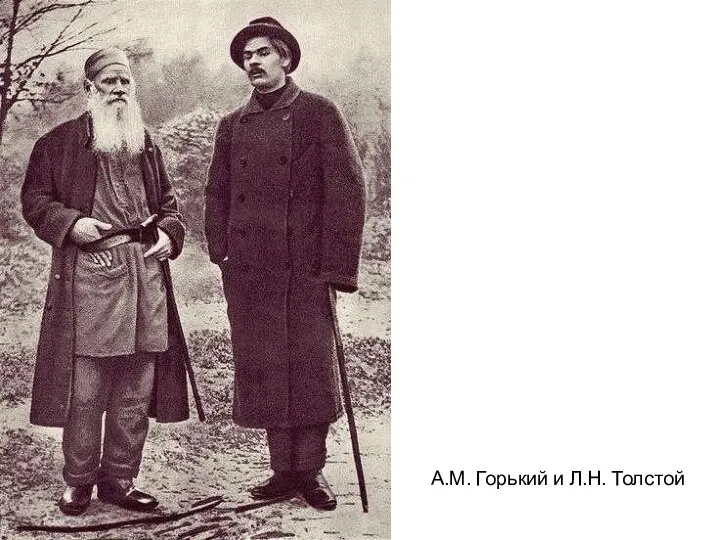А.М. Горький и Л.Н. Толстой