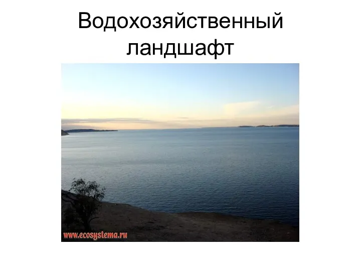 Водохозяйственный ландшафт