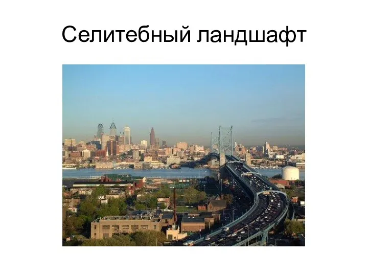 Селитебный ландшафт