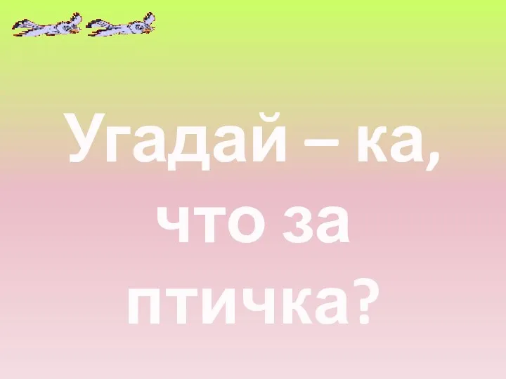 Угадай – ка, что за птичка?