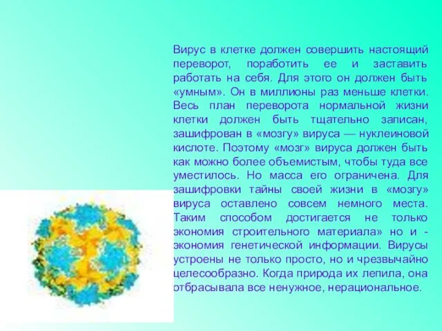 Вирус в клетке должен совершить настоящий переворот, поработить ее и