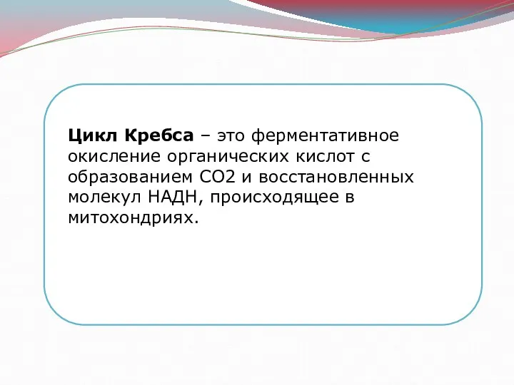 Цикл Кребса – это ферментативное окисление органических кислот с образованием