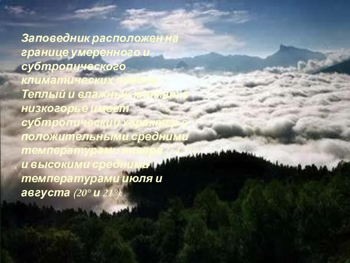 Заповедник расположен на границе умеренного и субтропического климатических поясов. Теплый