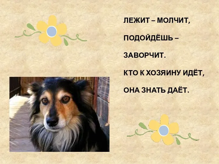 ЛЕЖИТ – МОЛЧИТ, ПОДОЙДЁШЬ – ЗАВОРЧИТ. КТО К ХОЗЯИНУ ИДЁТ, ОНА ЗНАТЬ ДАЁТ.