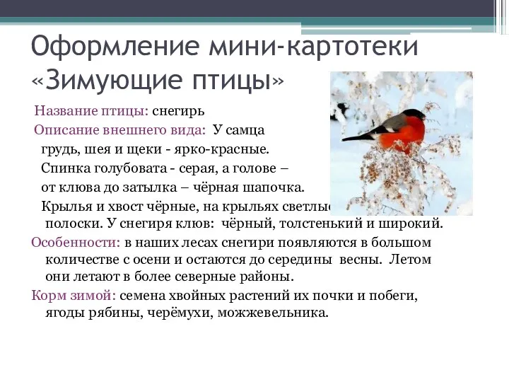 Оформление мини-картотеки «Зимующие птицы» Название птицы: снегирь Описание внешнего вида: