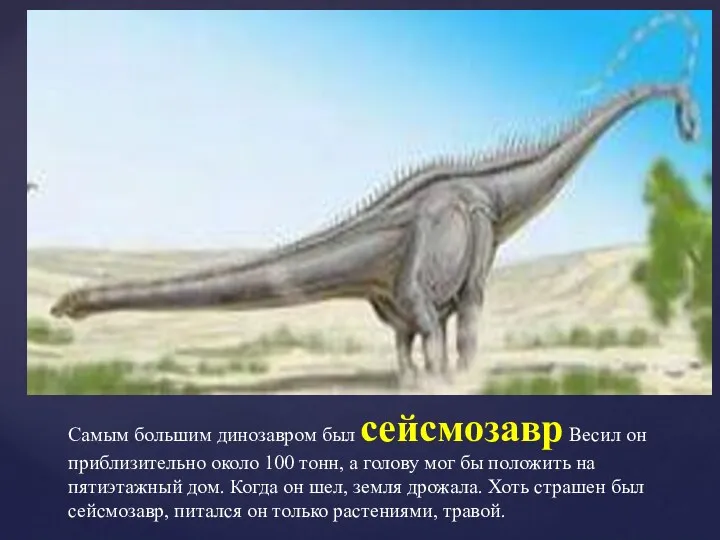Самым большим динозавром был сейсмозавр Весил он приблизительно около 100 тонн, а голову