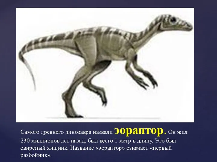 Самого древнего динозавра назвали эораптор. Он жил 230 миллионов лет назад, был всего