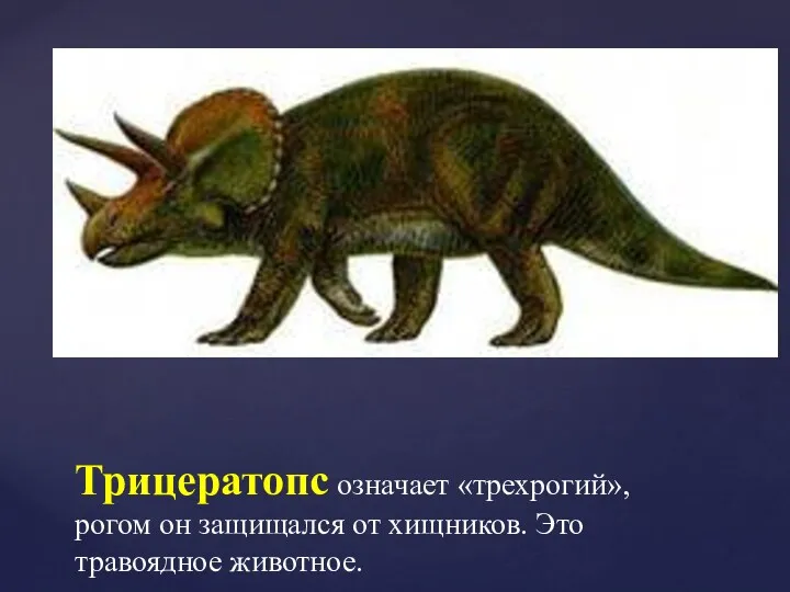Трицератопс означает «трехрогий», рогом он защищался от хищников. Это травоядное животное.
