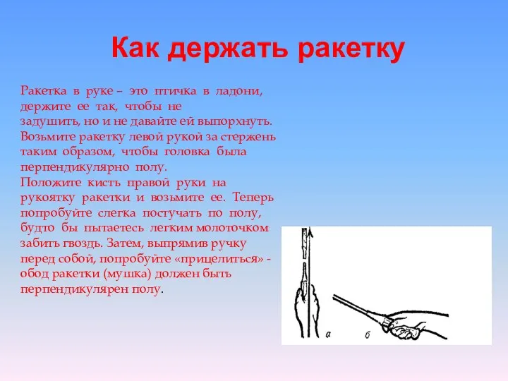 Как держать ракетку Ракетка в руке – это птичка в ладони, держите ее