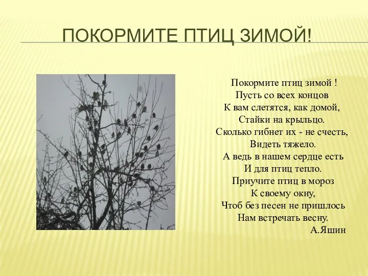 Покормите птиц зимой! Покормите птиц зимой ! Пусть со всех