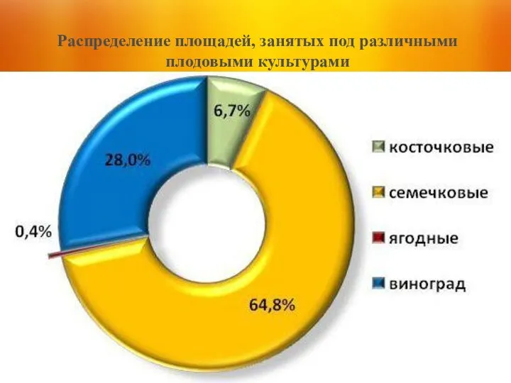 Распределение площадей, занятых под различными плодовыми культурами