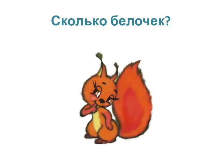 Сколько белочек?