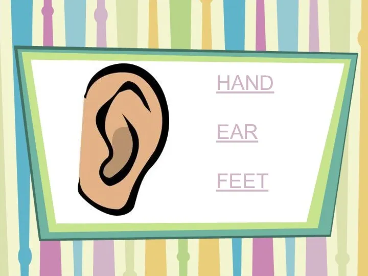 HAND EAR FEET