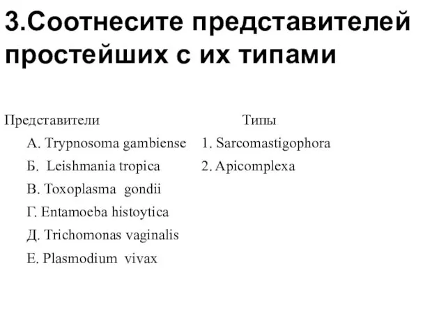 3.Соотнесите представителей простейших с их типами