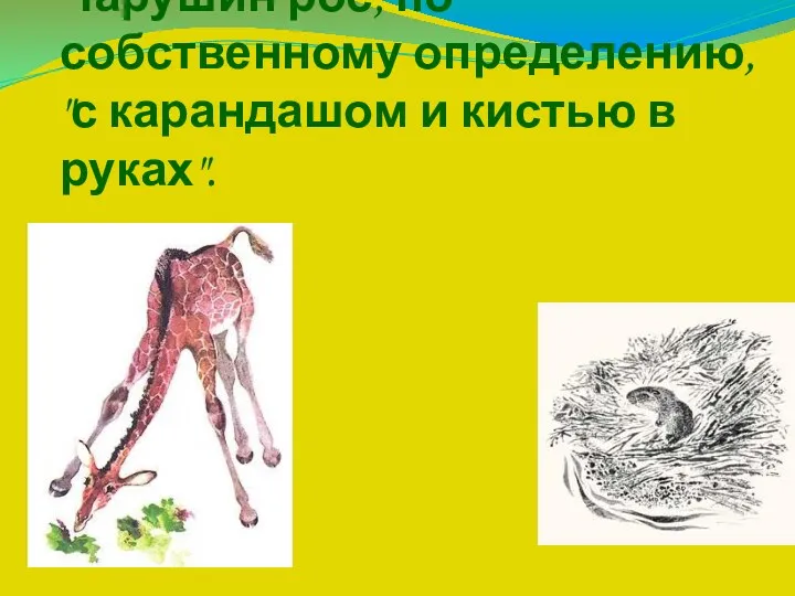 Чарушин рос, по собственному определению, "с карандашом и кистью в руках".