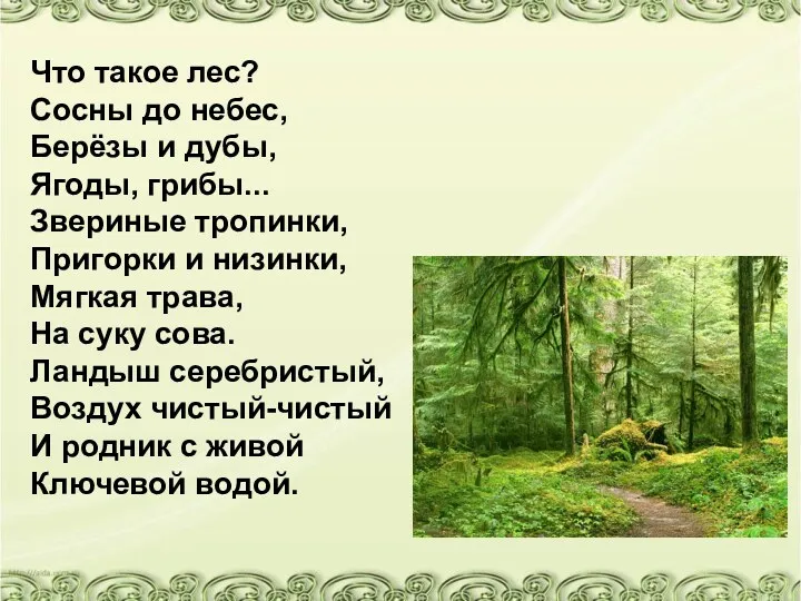 Что такое лес? Сосны до небес, Берёзы и дубы, Ягоды,