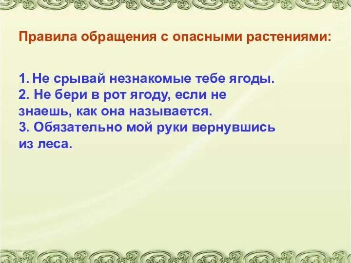 1. Не срывай незнакомые тебе ягоды. 2. Не бери в