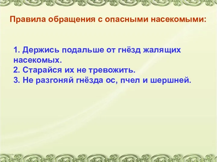 1. Держись подальше от гнёзд жалящих насекомых. 2. Старайся их