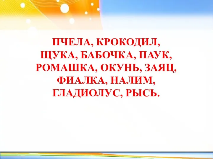 ПЧЕЛА, КРОКОДИЛ, ЩУКА, БАБОЧКА, ПАУК, РОМАШКА, ОКУНЬ, ЗАЯЦ, ФИАЛКА, НАЛИМ, ГЛАДИОЛУС, РЫСЬ.