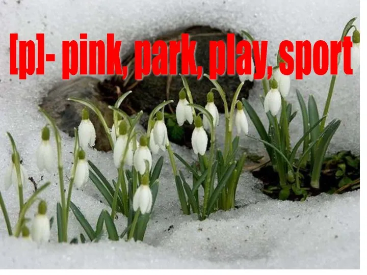 [p]- pink, park, play, sport