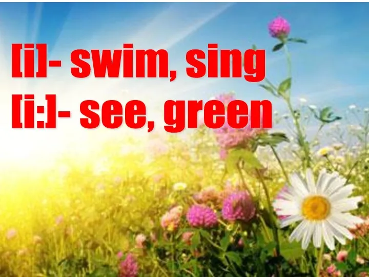 [i]- swim, sing [i:]- see, green