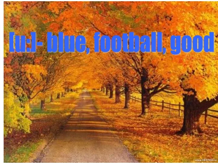 [u:]- blue, football, good