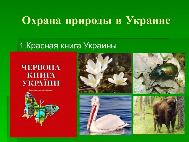 Охрана природы в Украине 1.Красная книга Украины