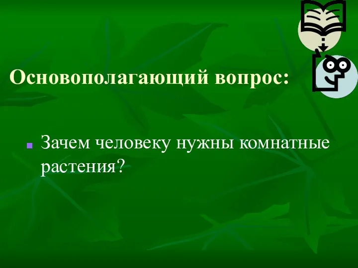 Основополагающий вопрос: Зачем человеку нужны комнатные растения?